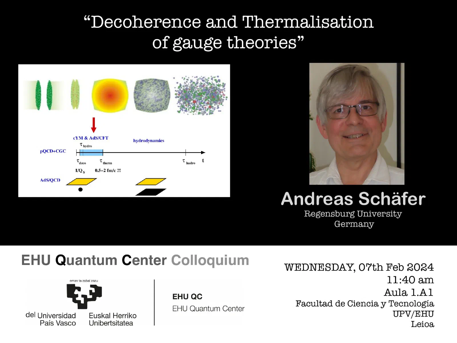 Flyer: Decoherence and Thermalisation of gauge theories