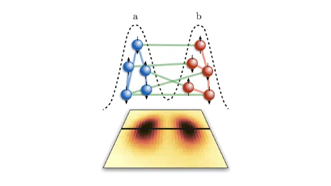 Spins in a double-well potential with their density distribution