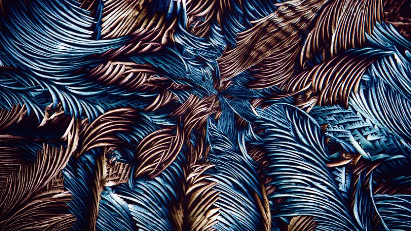 Crystals seen under polarised light